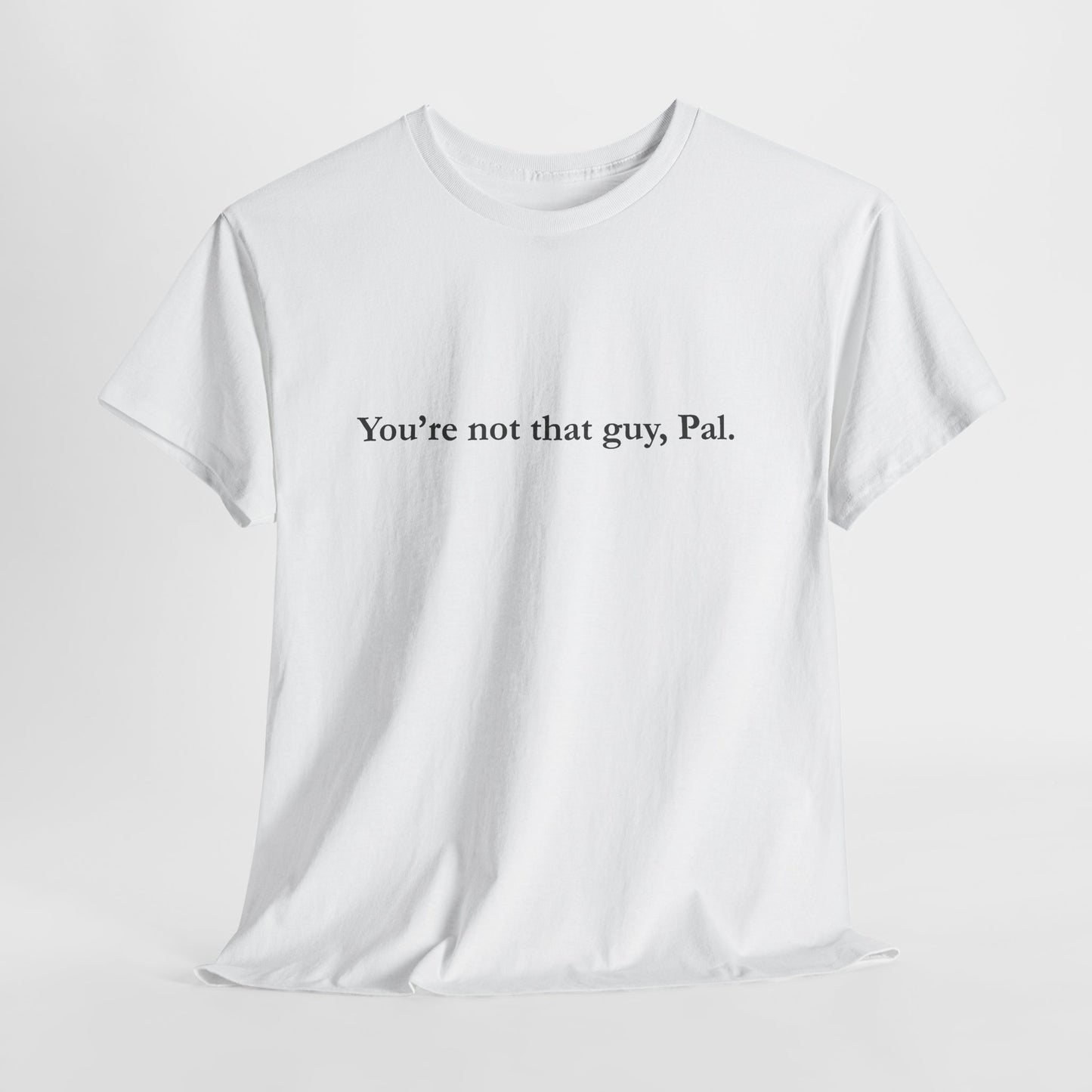 You're Not That Guy, Pal